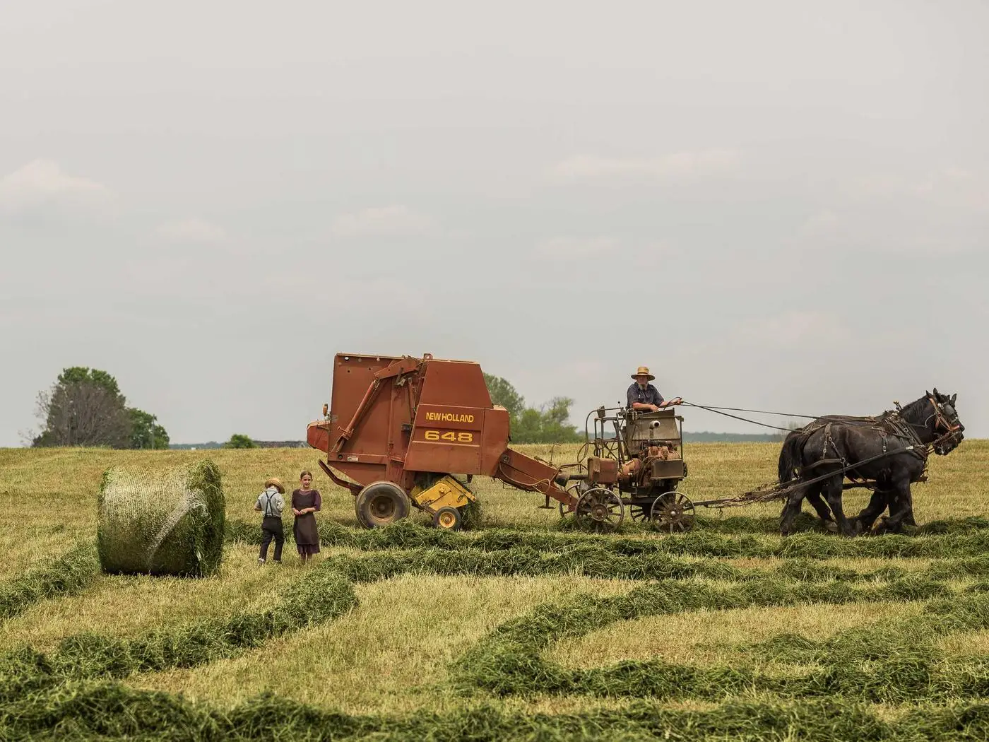 Laurel Picks editors testing products